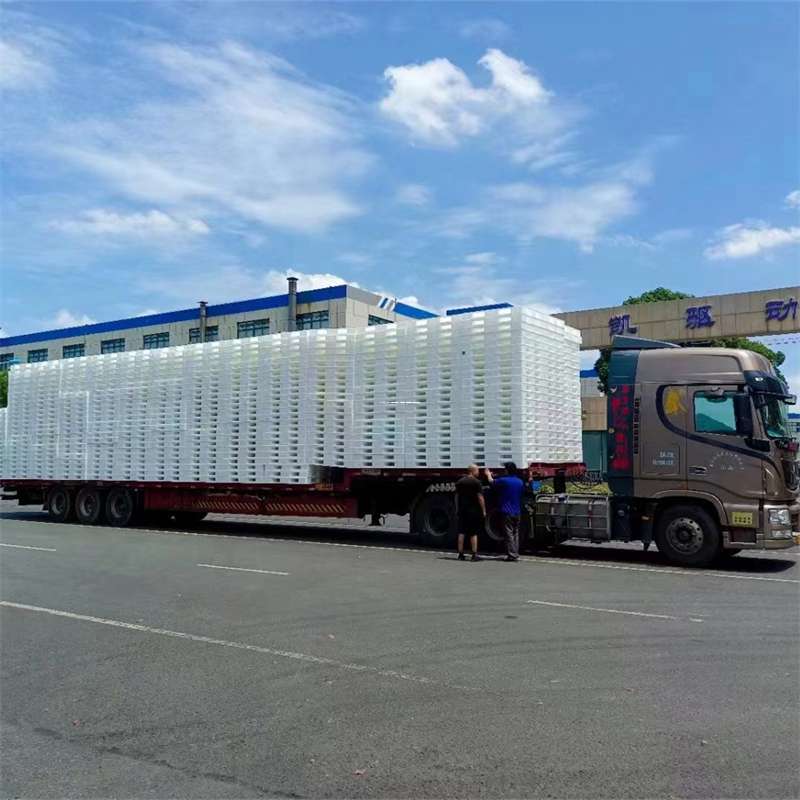 河北廊坊大城县到玉林物流公司——一站式服务，让货运更轻松（玉林专线物流）